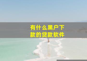 有什么黑户下款的贷款软件