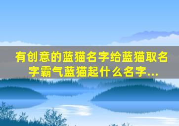 有创意的蓝猫名字给蓝猫取名字霸气蓝猫起什么名字...