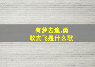 有梦去追,勇敢去飞是什么歌