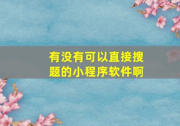 有没有可以直接搜题的小程序软件啊