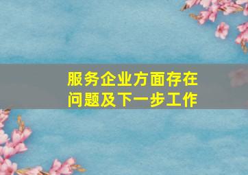 服务企业方面存在问题及下一步工作