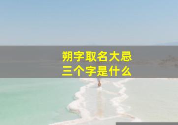 朔字取名大忌三个字是什么