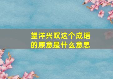 望洋兴叹这个成语的原意是什么意思