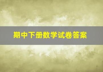 期中下册数学试卷答案