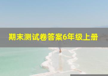 期末测试卷答案6年级上册