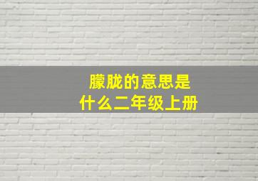 朦胧的意思是什么二年级上册