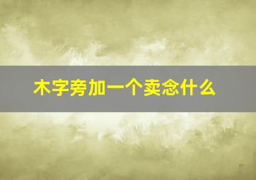 木字旁加一个卖念什么