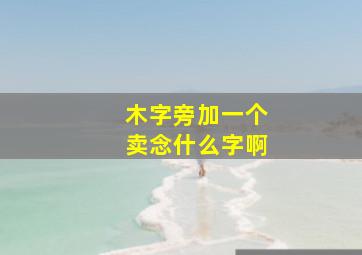 木字旁加一个卖念什么字啊