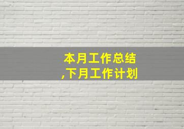 本月工作总结,下月工作计划