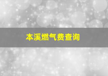 本溪燃气费查询