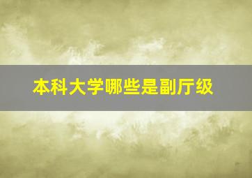 本科大学哪些是副厅级