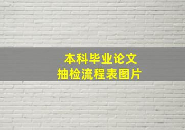 本科毕业论文抽检流程表图片