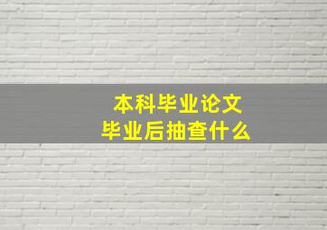 本科毕业论文毕业后抽查什么