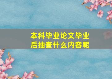 本科毕业论文毕业后抽查什么内容呢