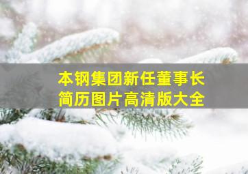 本钢集团新任董事长简历图片高清版大全