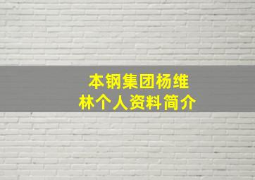 本钢集团杨维林个人资料简介