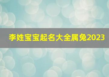 李姓宝宝起名大全属兔2023