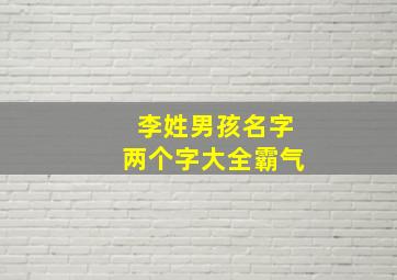 李姓男孩名字两个字大全霸气