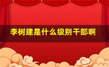 李树建是什么级别干部啊