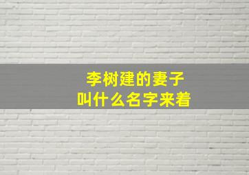 李树建的妻子叫什么名字来着