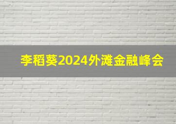 李稻葵2024外滩金融峰会