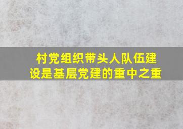 村党组织带头人队伍建设是基层党建的重中之重