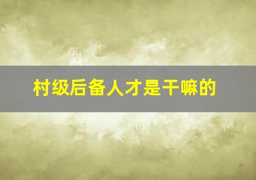 村级后备人才是干嘛的