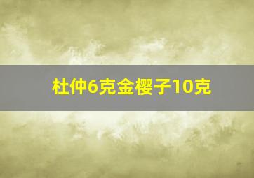 杜仲6克金樱子10克