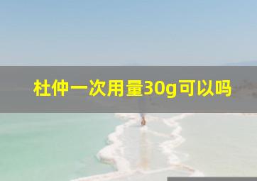 杜仲一次用量30g可以吗