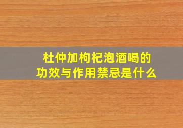 杜仲加枸杞泡酒喝的功效与作用禁忌是什么