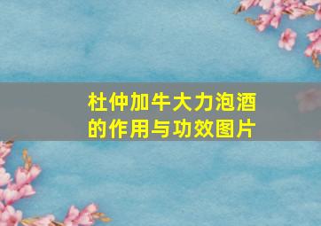 杜仲加牛大力泡酒的作用与功效图片