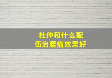 杜仲和什么配伍治腰痛效果好