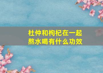 杜仲和枸杞在一起熬水喝有什么功效