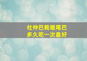 杜仲巴戟猪尾巴多久吃一次最好