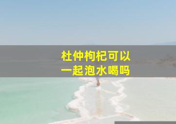 杜仲枸杞可以一起泡水喝吗