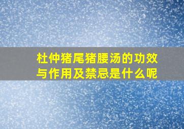 杜仲猪尾猪腰汤的功效与作用及禁忌是什么呢