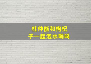 杜仲能和枸杞子一起泡水喝吗