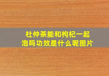 杜仲茶能和枸杞一起泡吗功效是什么呢图片