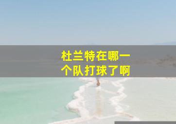 杜兰特在哪一个队打球了啊