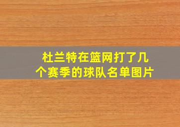 杜兰特在篮网打了几个赛季的球队名单图片