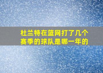 杜兰特在篮网打了几个赛季的球队是哪一年的