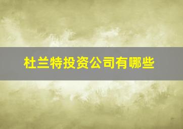 杜兰特投资公司有哪些