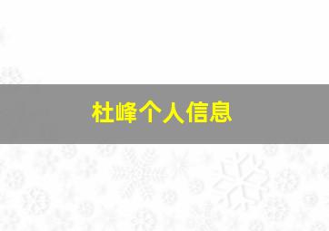 杜峰个人信息