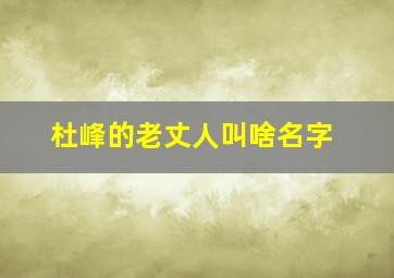 杜峰的老丈人叫啥名字