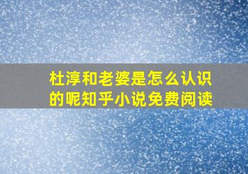 杜淳和老婆是怎么认识的呢知乎小说免费阅读