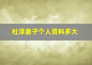 杜淳妻子个人资料多大