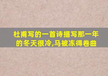 杜甫写的一首诗描写那一年的冬天很冷,马被冻得卷曲