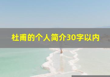 杜甫的个人简介30字以内