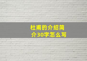 杜甫的介绍简介30字怎么写