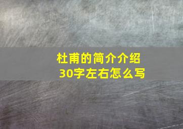 杜甫的简介介绍30字左右怎么写